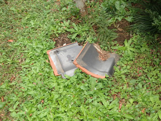 落下した瓦が庭に見つかった