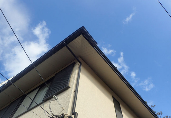 雨樋を調査します