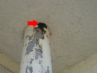 排水用の縦樋周辺から水が漏れている