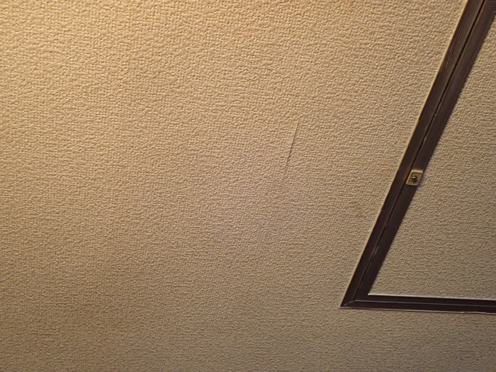 天井からの雨漏り