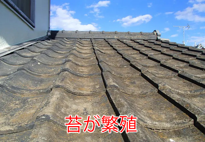 苔が繁殖したセメント瓦