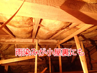 小屋裏からも雨染みを確認