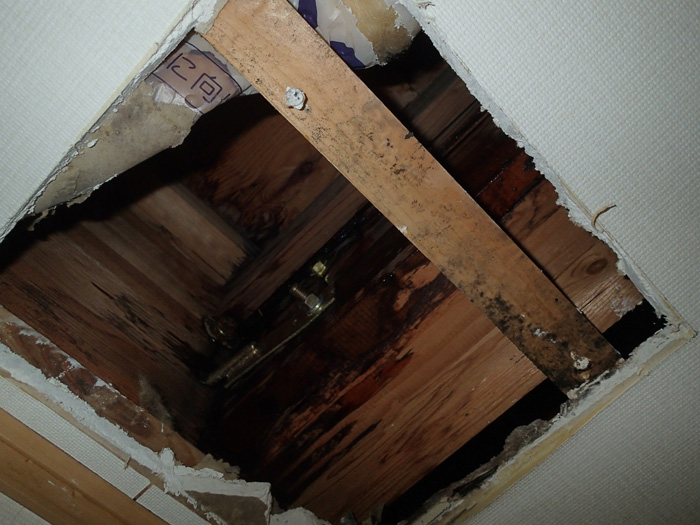 南房総市久枝の雨漏り調査は天井を開口し小屋裏内部をチェックします