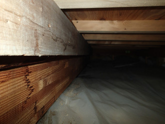 小屋裏の木部が雨漏りしている