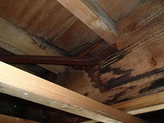 天井内には雨染みが出来ていました