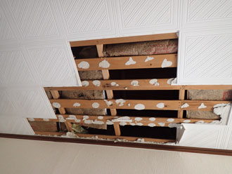 屋根の天井から雨漏りが