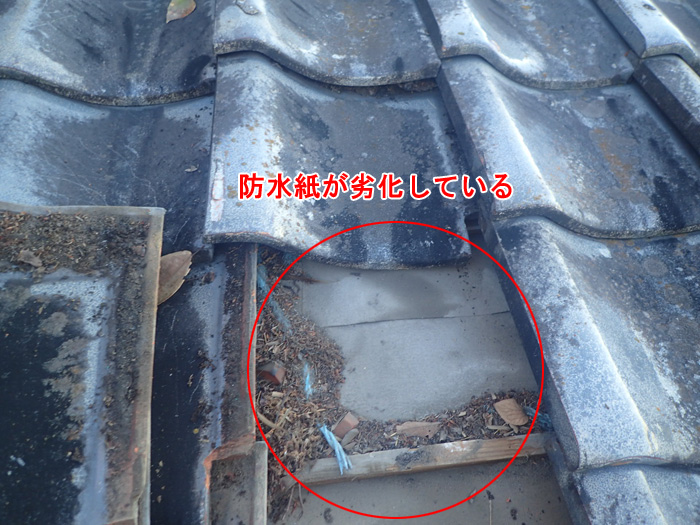 雨漏りの直接原因は防水紙の劣化だった