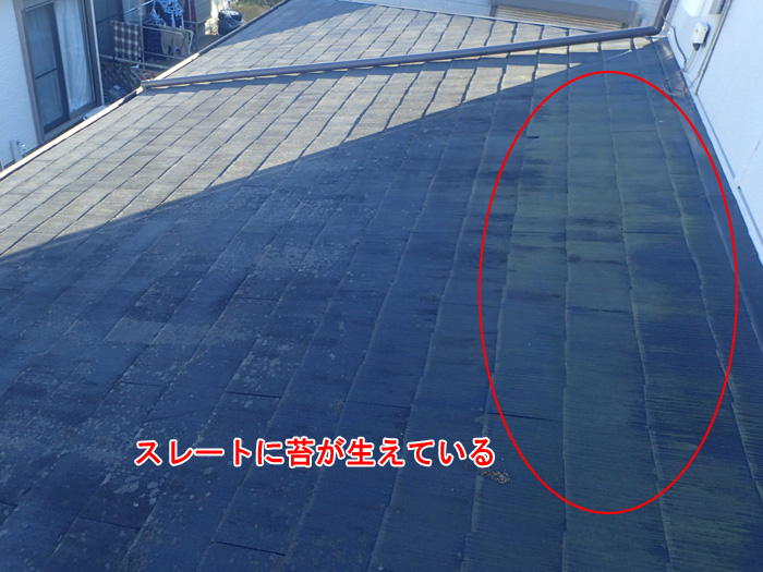 雨漏りの原因はスレート屋根のひび割れかも？修理の重要性と対策法