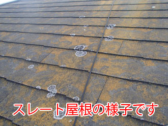 スレート屋根の表面を拡大