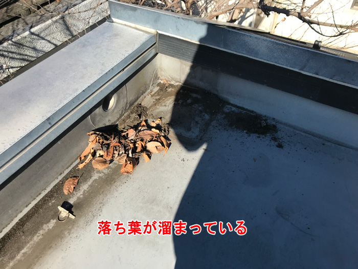 陸屋根に落ち葉が溜まっていたら危険信号！