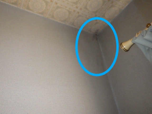 東大阪市にて、シングル屋根の雨漏り調査を行いました