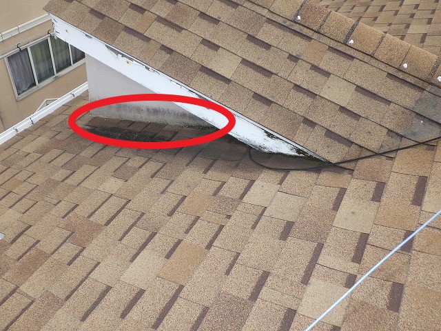 東大阪市　N様邸　シングル屋根　壁際②