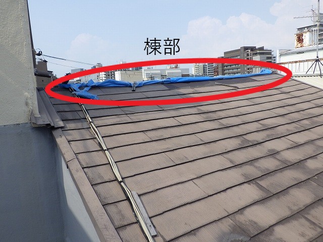 東大阪市　アパート　雨漏り　カラーベスト　棟板金　飛散③