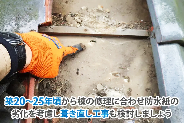 築20～25年頃から棟の修理に合わせ防水紙の劣化を考慮し、葺き直し工事も検討しましょう