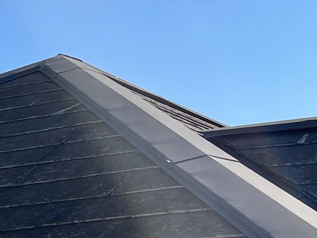 外装 外壁  破風板 軒天 棟板金 谷板金 棟瓦 漆喰  天窓 天井