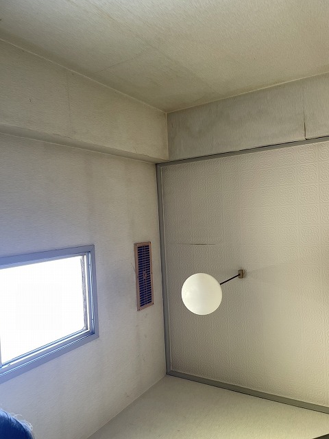 越谷市　台風 台風被害 被害 強風 豪雨 集中豪雨 ゲリラ雷雨 梅雨