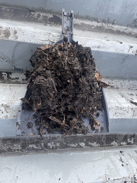 台風 台風被害 被害 強風 豪雨 集中豪雨 ゲリラ雷雨 梅雨