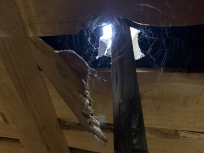 屋根裏アンテナ貫通状況近景