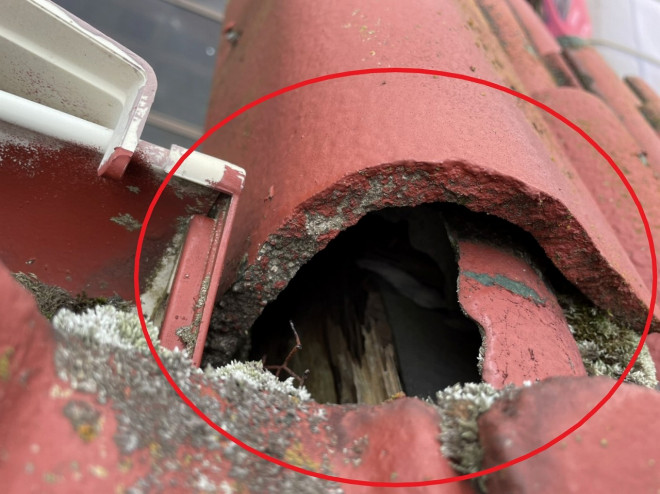 袖瓦下地木材腐食