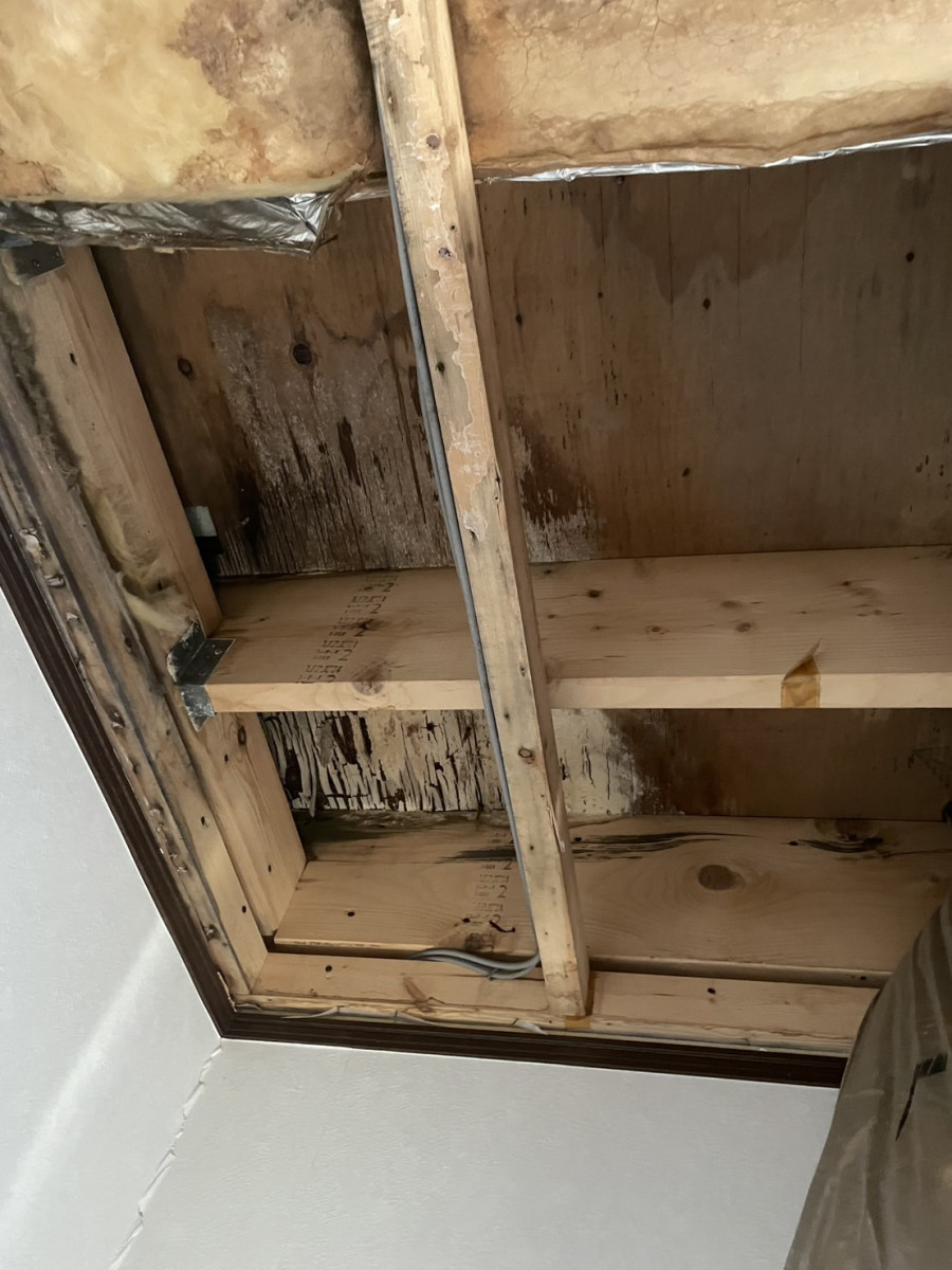 久喜市　腐食 苔 カビ ひび割れ 色褪せ