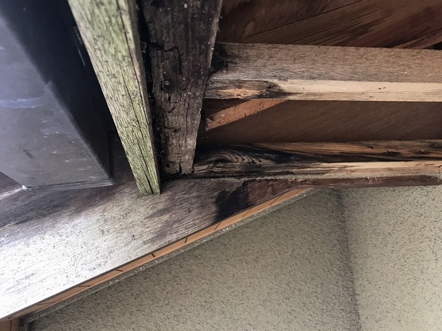 軒先木材腐食