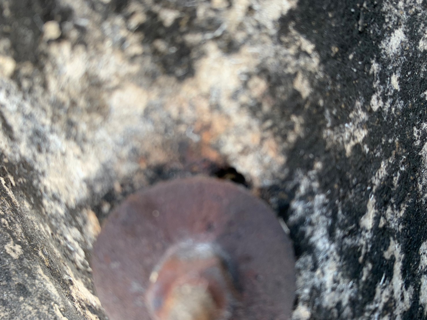 守山区のスレート屋根の止め金具から雨漏り