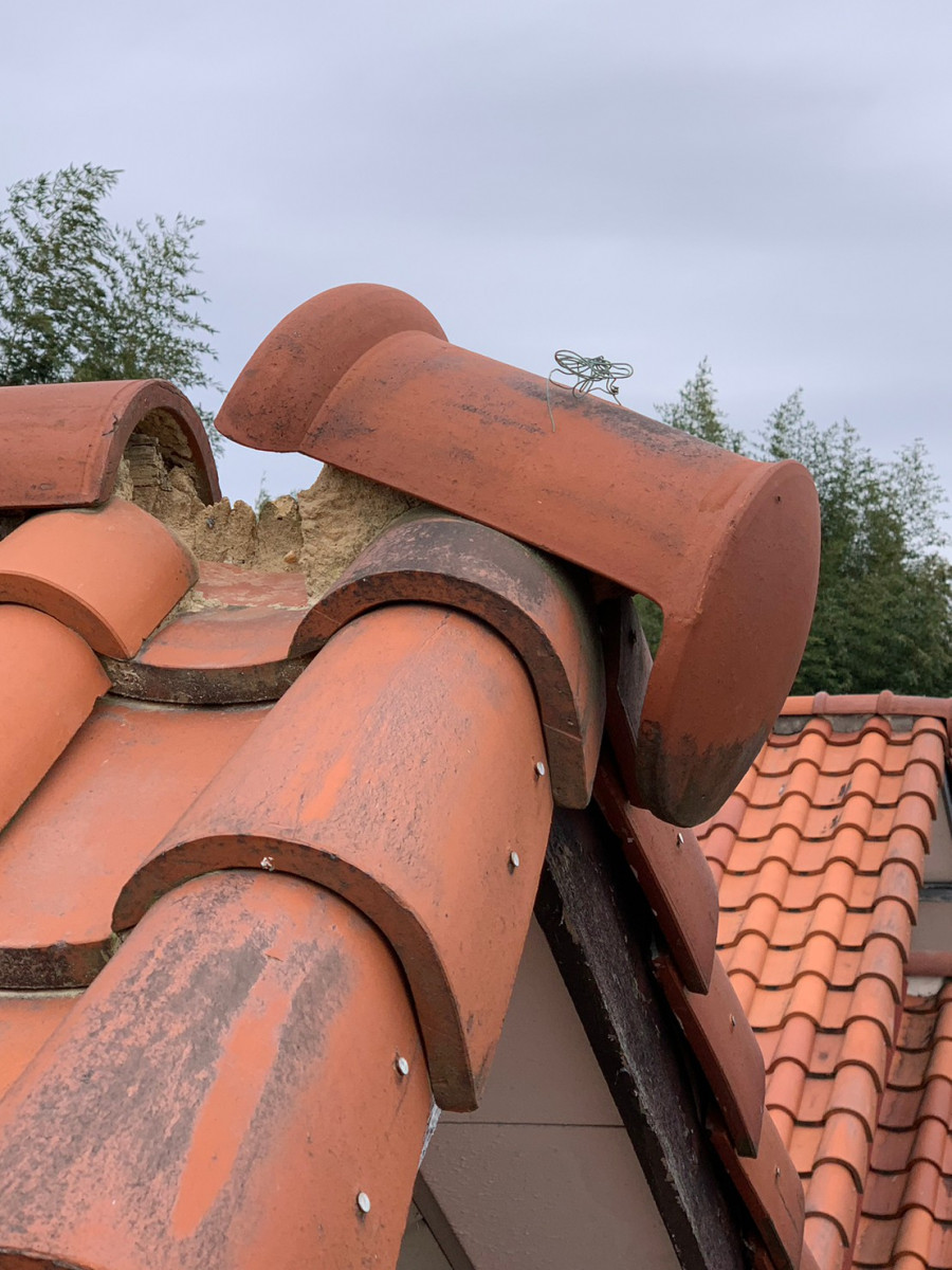 守山区で冠瓦の調査