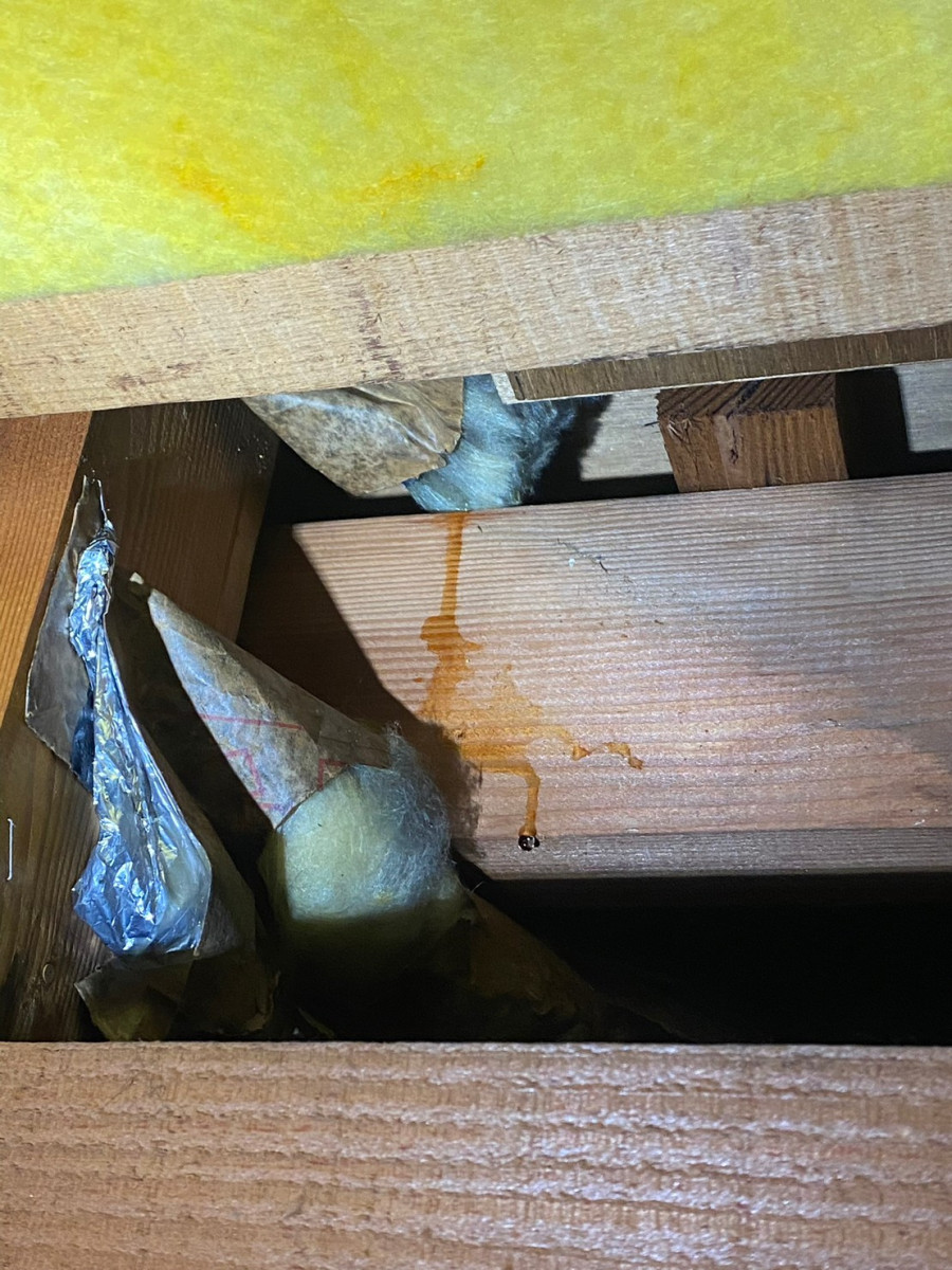 長久手市でサッシレールから水が下地にはいっている様子