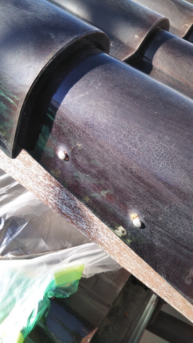 守山区　ケラバビス止め前