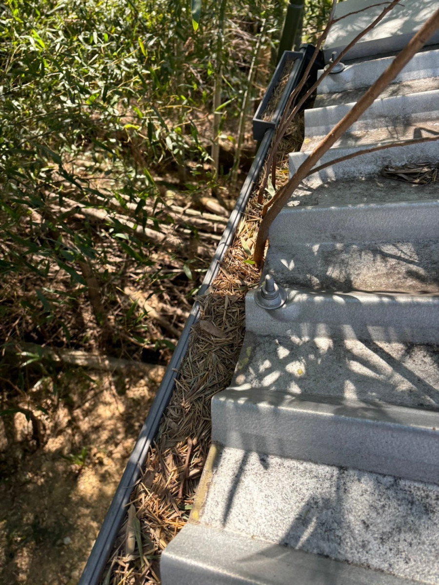 落ち葉で詰まってしまっている雨樋