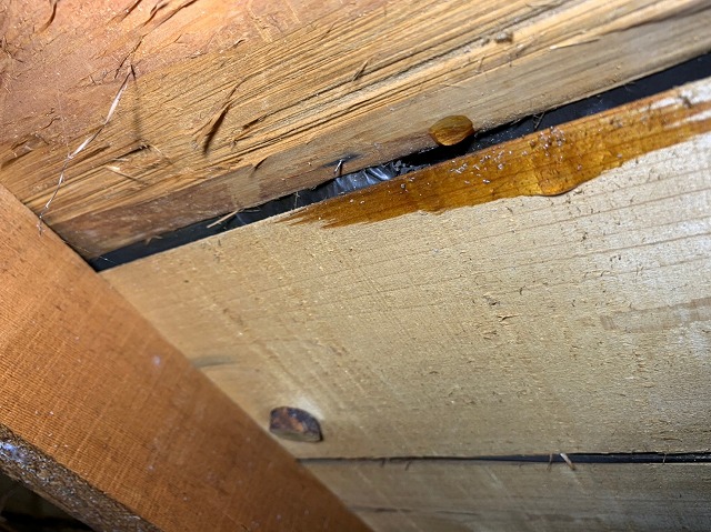 散水後野地板　しずく