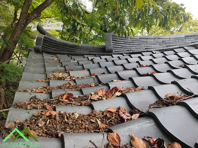 葉っぱが瓦の上に