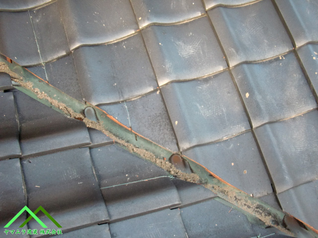 変色しています