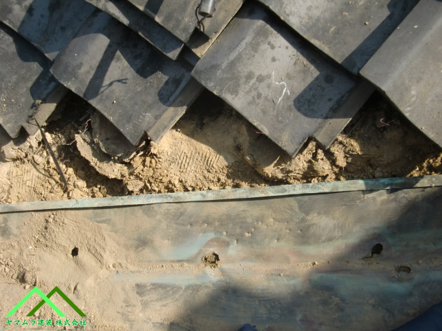 広範囲で穴があいています