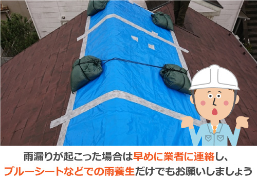 雨漏りが起こった場合は早めに業者に連絡しましょう