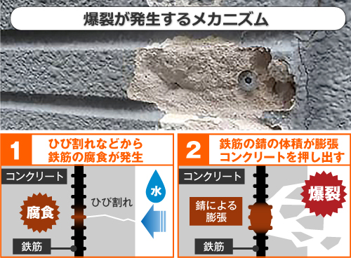 爆裂が発生するメカニズムは、ひび割れなどから鉄筋の腐食が発生し次第に鉄筋の錆の体積が膨張、コンクリートを押し出すことのよって爆裂が起きます