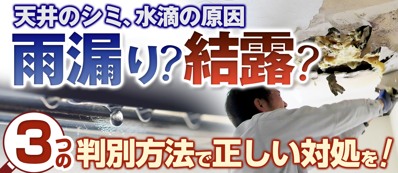 天井のシミ、水滴の原因は雨漏り？結露？3つの判別方法で正しい対処を！