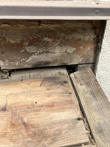 沼津市雨漏り野地板増し張り