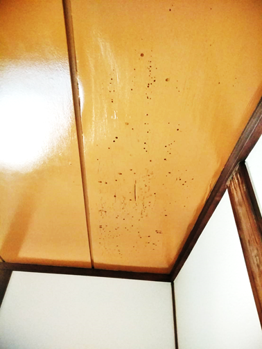 沼津市雨漏り瓦屋根天井シミ