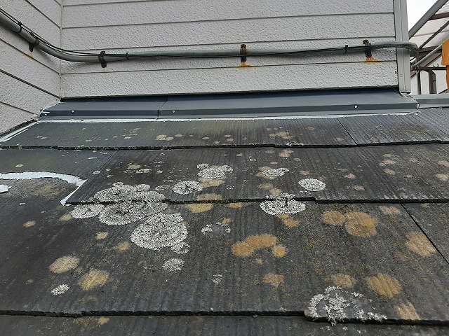 コケが発生している下屋根