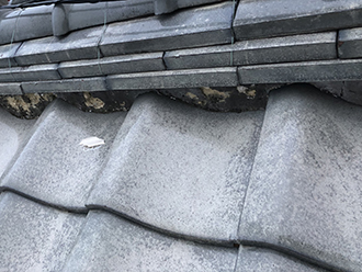 瓦屋根漆喰の点検