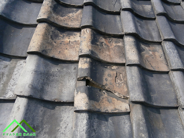 変色して瓦