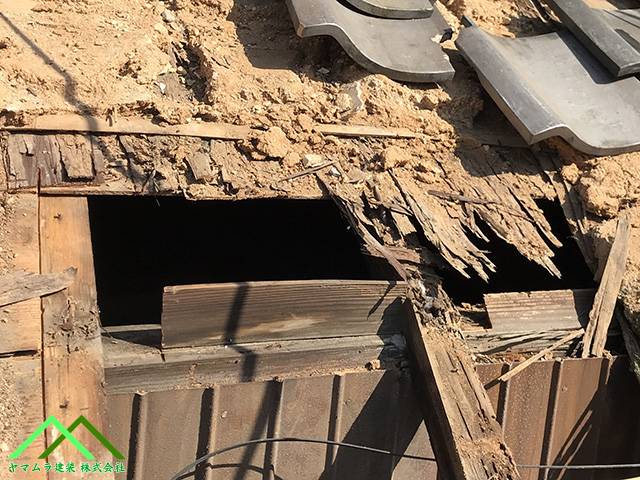 大きな口があいています