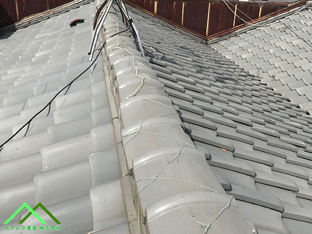 ラインずれの棟