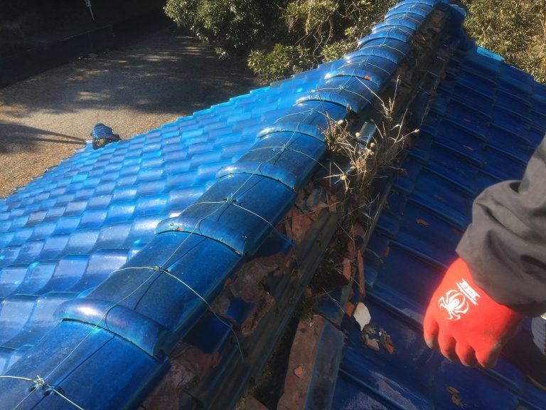 棟瓦欠損箇所より生えた雑草