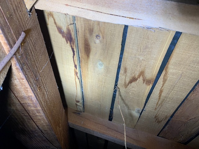 屋根裏　野地板雨跡