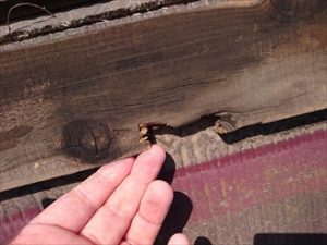 貫板が割れている部分がありました