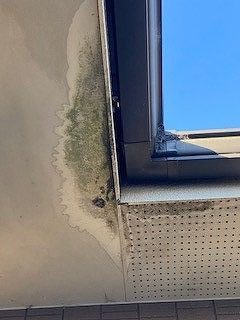 軒天の激しい痛み