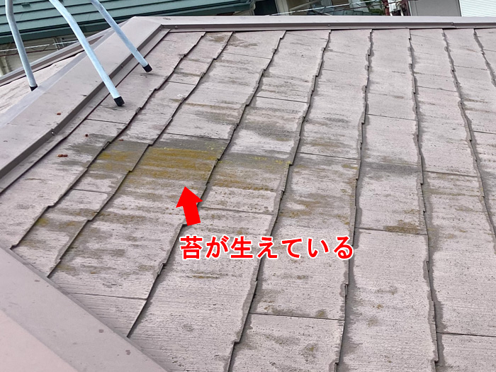 【雨漏り調査の実例と漫画解説】劣化スレート屋根と塗膜剥離からわかる雨漏りの兆候｜アメピタが徹底解説