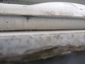 雨漏りを引き起こしている天窓